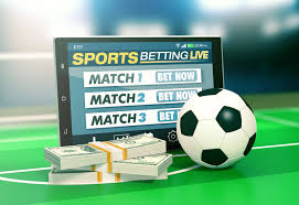 Betwinner Your Ultimate Betting Experience 333435331
