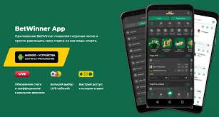 The Definitive Guide to BetWinner Sports Betting